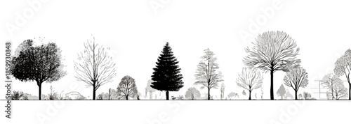 Siluetas monocromáticas de diversos árboles y vegetación sobre fondo blanco, diseño transparente.