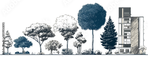 Conjunto de árboles y arbustos dibujados a mano en escala junto a un edificio moderno, fondo transparente.