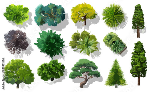 Colección de árboles y arbustos vistos desde arriba, ilustraciones vectoriales con fondo transparente para planos