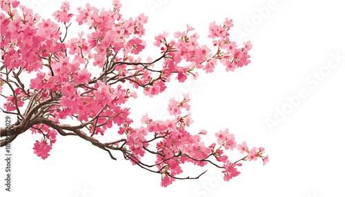 Ramo di albero fiorito con fiori rosa brillanti isolato su sfondo bianco trasparente, ideale per composizioni primaverili.