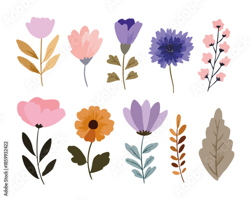 Set di illustrazioni botaniche acquerello con fiori e foglie colorate su sfondo trasparente