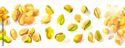 Illustrazione digitale di pistacchi freschi sgusciati e con guscio su sfondo bianco, ideali per grafiche alimentari.