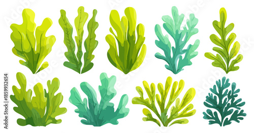 Set di alghe marine stilizzate in diverse forme e tonalità di verde e acqua, isolate su sfondo trasparente.