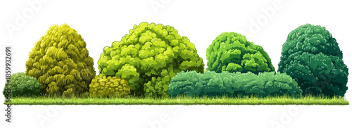 Illustrazione vettoriale di cespugli e siepi verdi con sfondo trasparente, ideali per design natura.