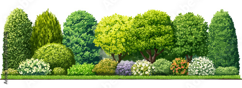 다양한 종류의 나무와 관목이 조화롭게 어우러진 아름다운 정원 풍경 일러스트