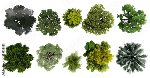 다양한 종류의 나무들이 하얀 배경 위에 투명하게 배치된 모습