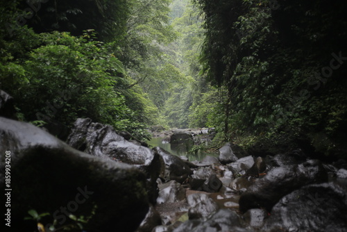 Soft light filtering through tree canopies in a canyon, falling on rocks that lead toward a lake and waterfall, calm natural atmosphere