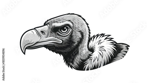 Vulture head illustration featuring a detailed closeup of beak, eye, and plumage in monochrome style.