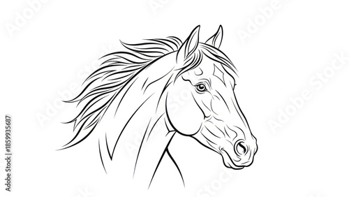 Elegant line drawing of a horse head in profile for artistic use.