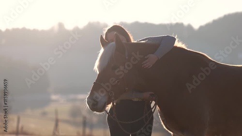 Young woman gently cuddling and interacting with her Haflinger mare, showing trust, affection and calm horse human bond