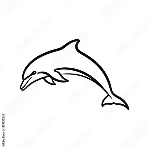 Minimalist line art dolphin illustration Vector