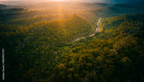 Imagem aérea de floresta exuberante ao entardecer com rio: ideal para campanhas de sustentabilidade