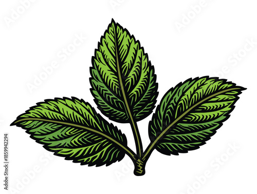 Three vibrant green leaves growing together in a retro style.