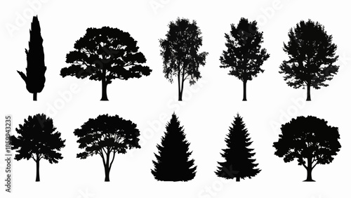 Collection of Black Tree Silhouettes Isolated on White Background.