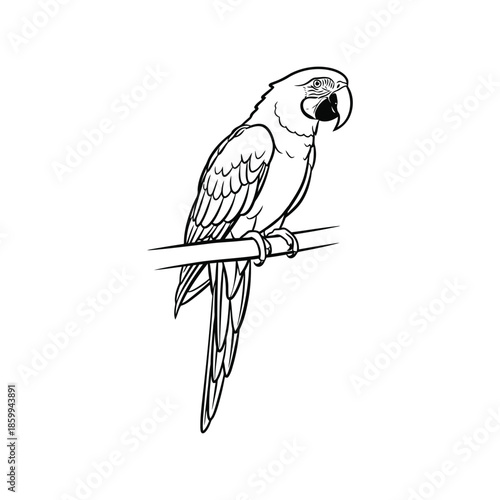 Elegant blue and yellow macaw perched on branch, line art Vector