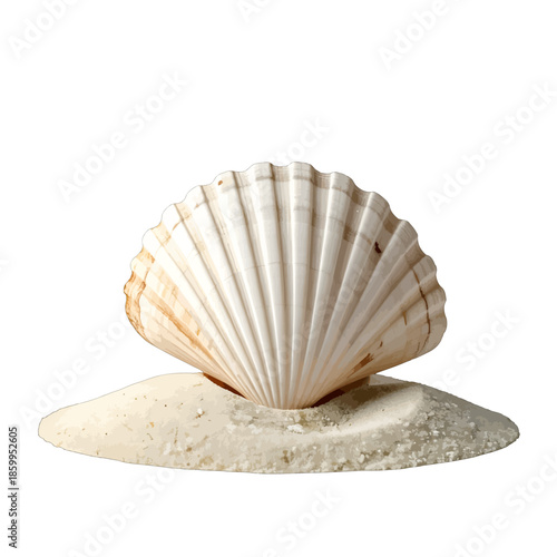 A Single Seashell Resting on a Small Mound of Sandy Beach Against a Stark White Background