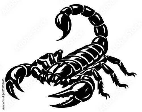 Stylized line art illustration of a scorpion depicting a menacing pose for dangerous themes and design elements