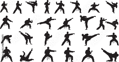 Martial Arts Silhouettes Icon Collection