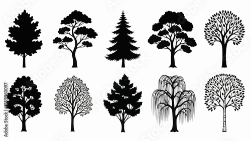 Collection of diverse tree silhouettes in black and white.