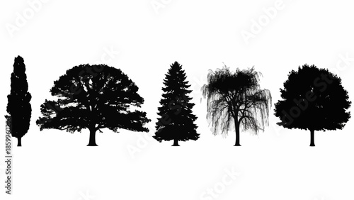 Collection of diverse tree silhouettes on a white background.