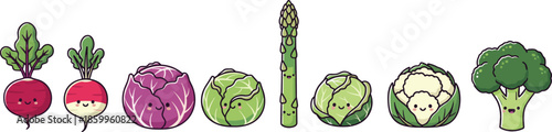 Cute vegetable characters illustration, smiling broccoli cauliflower cabbage asparagus radish beet icons isolated on white background vector set flat design