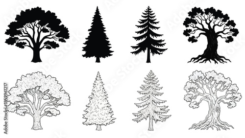 A collection of various tree silhouettes and sketches in black and white