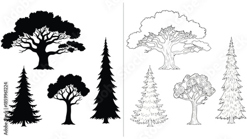 Silhouettes and line art depictions of trees and coniferous plants