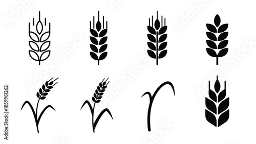 A collection of various wheat and grain stalks in black silhouette style