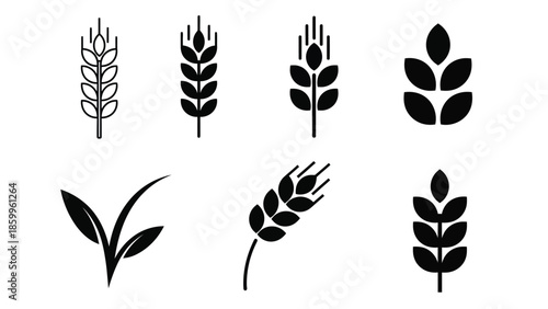 Black silhouettes of various grains leaves and plant elements displayed neatly