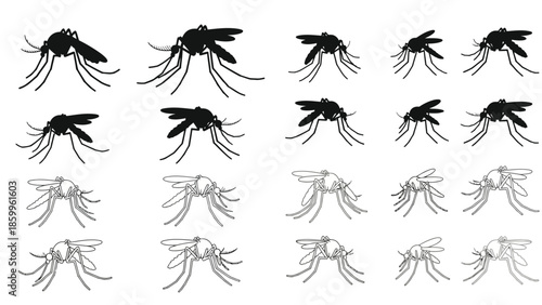A collection of detailed mosquito illustrations in a repetitive grid pattern