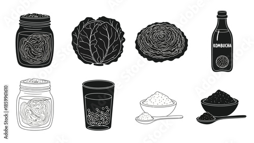Black and white illustration of kombucha ingredients cabbage salt and glass jars
