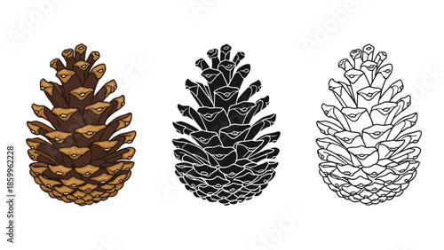 Three pine cone illustrations in different styles and color schemes