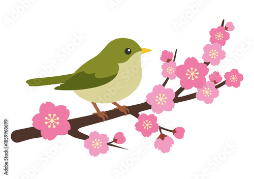桜の枝にとまるうぐいすのシンプルなフラットイラスト
