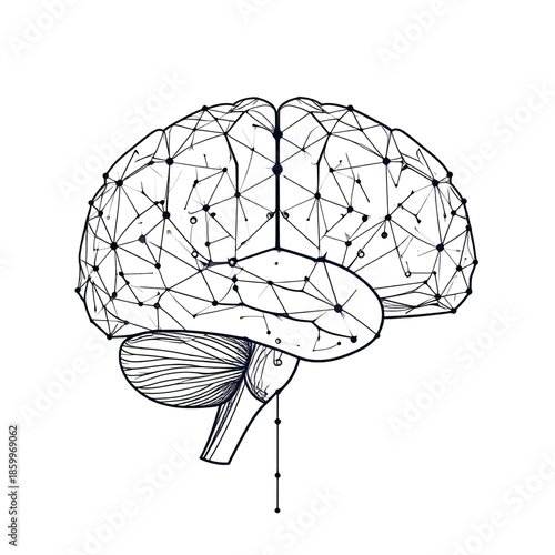 Stylized Brain Illustration with Blue Lines Connections on White Background Detailed Neural Network Brain Anatomy Design Concept for Mind Cognitive Functions