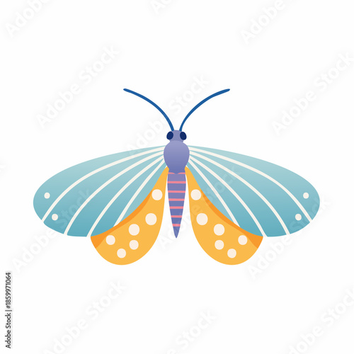 Beautiful colorful butterfly with vibrant orange and blue wings isolated on a white background for a macro nature shot of this flying summer insect