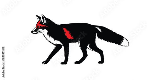 Red-Eyed Black Fox Walking on White Background