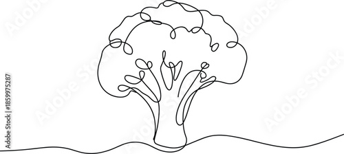 Minimalist Line of a Broccoli Plant vegetable line minimalist