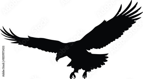 Flying eagle silhouette with spread wings isolated on white background wildlife freedom power nature bird predator illustration symbol