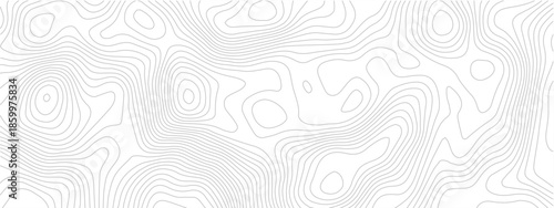 Modern Seamless Abstract Pattern with Flowing Circular Waves and Structured Geometric Lines