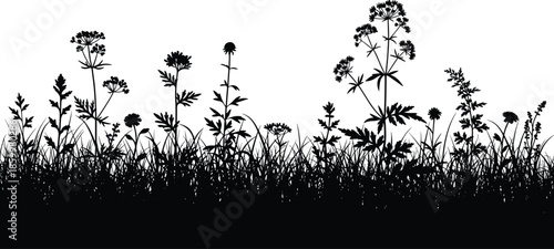 Black silhouette meadow grass and wild flowers border, nature field plants vector illustration on white background for summer design