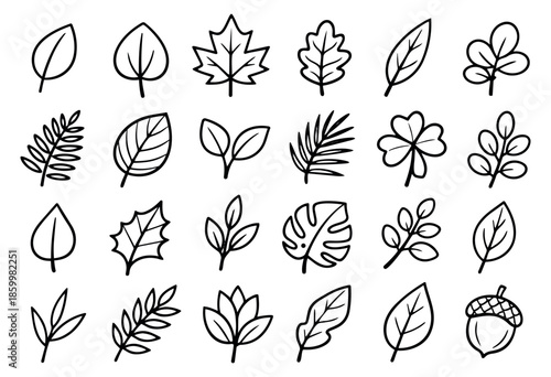Hand drawn line art botanical elements set featuring various leaves, foliage, and an acorn for natural design and decoration