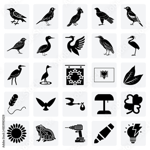 Bird Watching And Ornithology Themed Visuals – Featuring Galah, Great Egret, And Golden Oriole For Hobbyist Content.