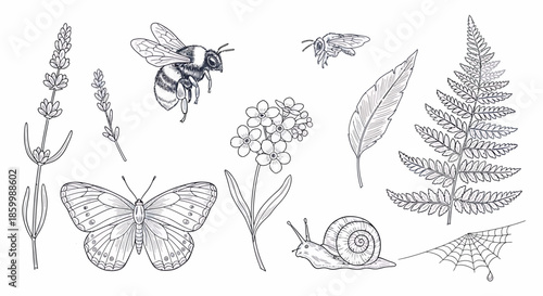 Insects and leaves on plants.