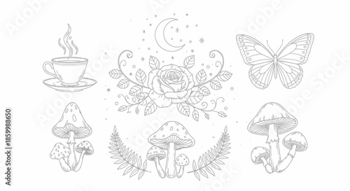 Mushrooms and coffee cup illustrations.