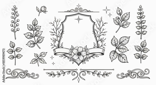Vintage floral decorative elements and leaves.