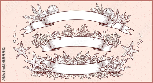 Vintage sea life ribbon banner illustration.