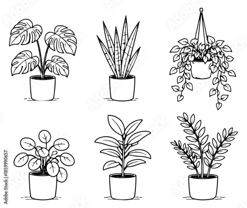 Hand drawn line art houseplant set featuring popular potted and hanging plants for home decoration