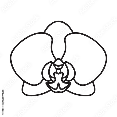 Orchid flower line art