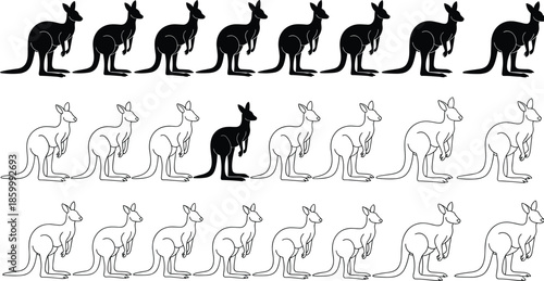 Kangaroo silhouette and outline icon set featuring Australian marsupial poses in black and white flat vector illustration isolated on white background