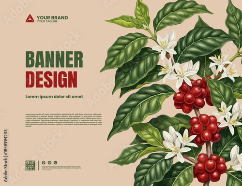coffee plant and coffee fruit background illustration banner template design